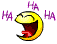 :l4: