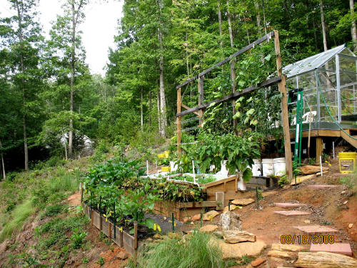 garden image