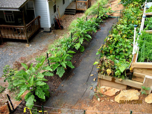 garden image