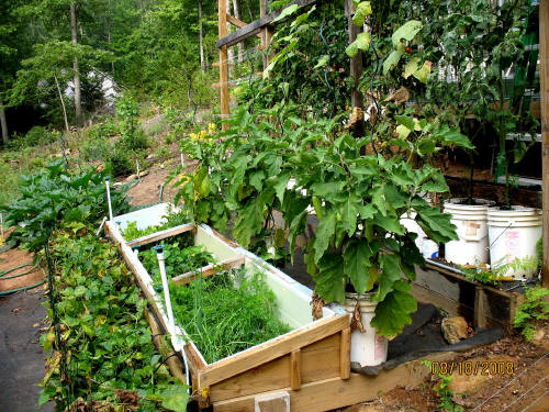 garden image