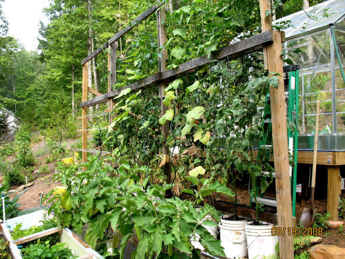 garden image