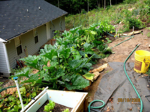 garden image