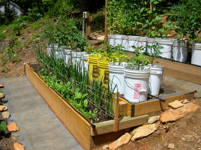 garden image