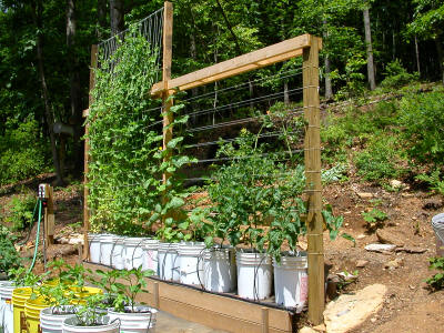 garden image