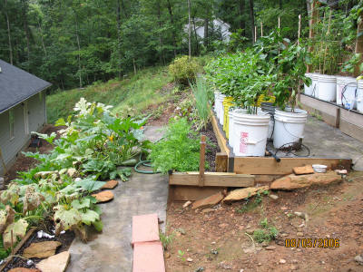 garden image