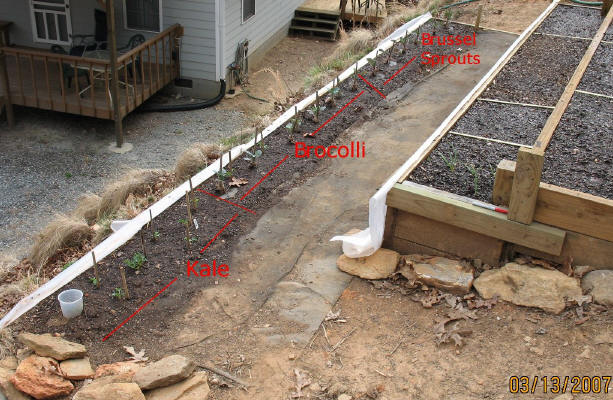 garden image