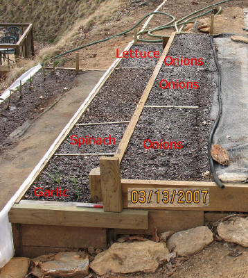 garden image