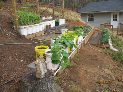 garden image