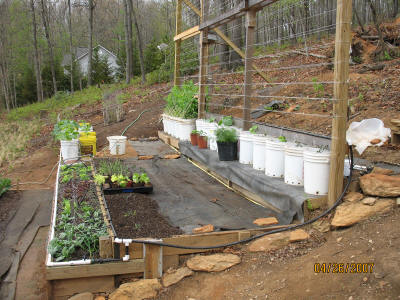 garden image