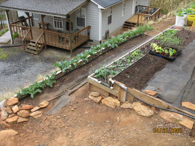 garden image