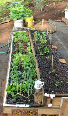 garden image