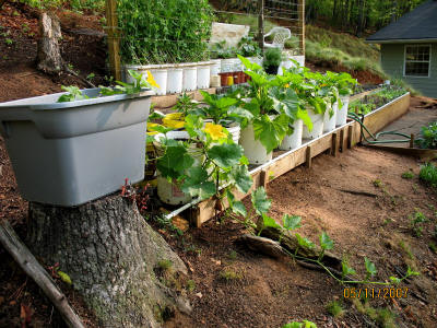 garden image