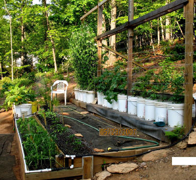garden image