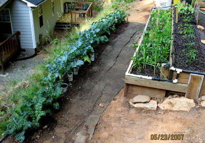 garden image