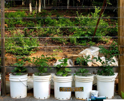 garden image
