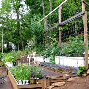garden image