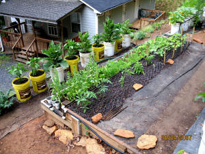 garden image