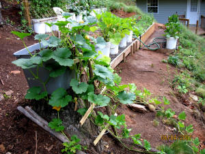 garden image