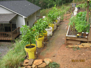 garden image