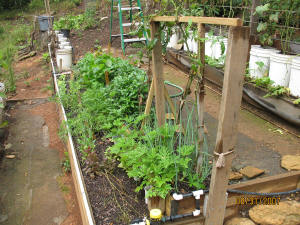 garden image