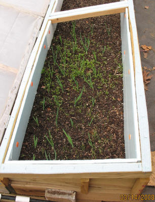 garden image