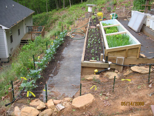 garden image