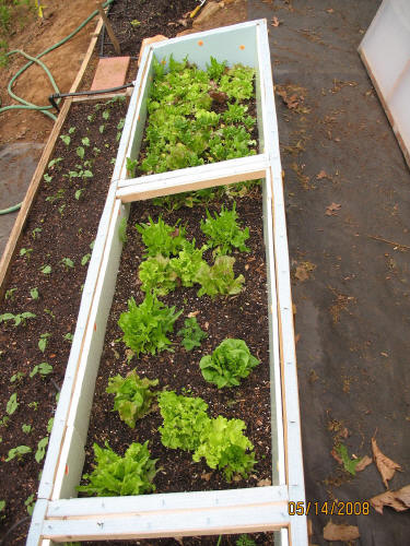 garden image