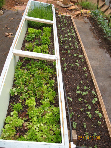 garden image