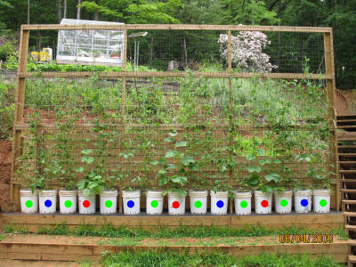 garden image