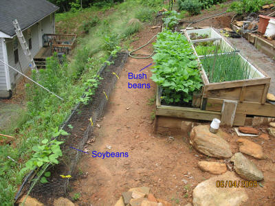 garden image