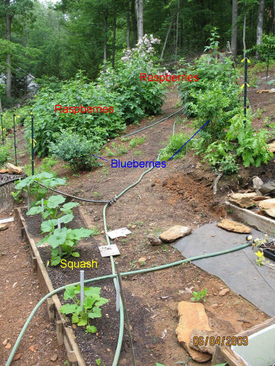 garden image