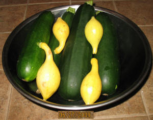 garden image