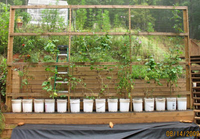 garden image