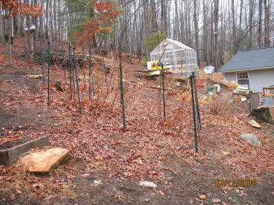 garden image