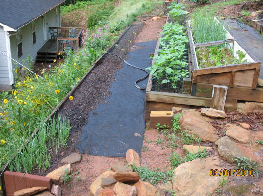 garden image
