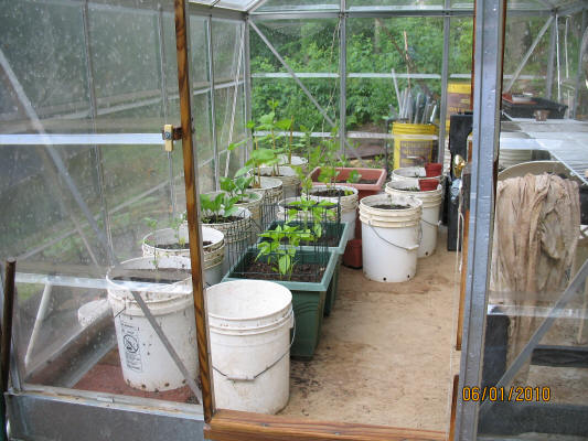 garden image