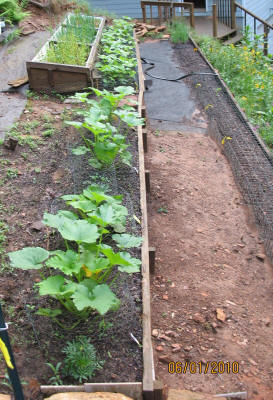 garden image
