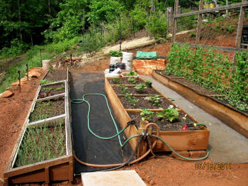garden image