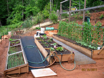 garden image
