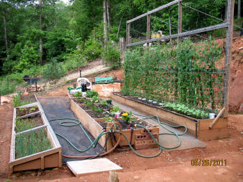 garden image