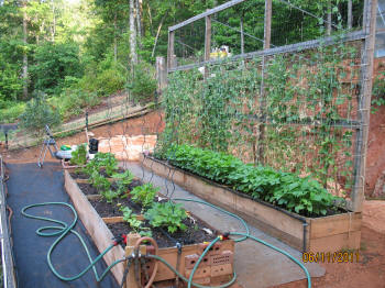 garden image