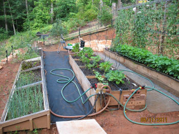 garden image
