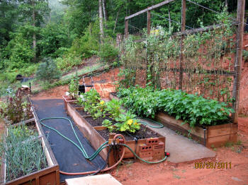garden image