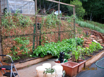 garden image