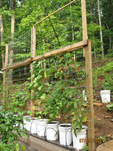 garden image