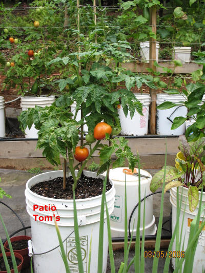 garden image