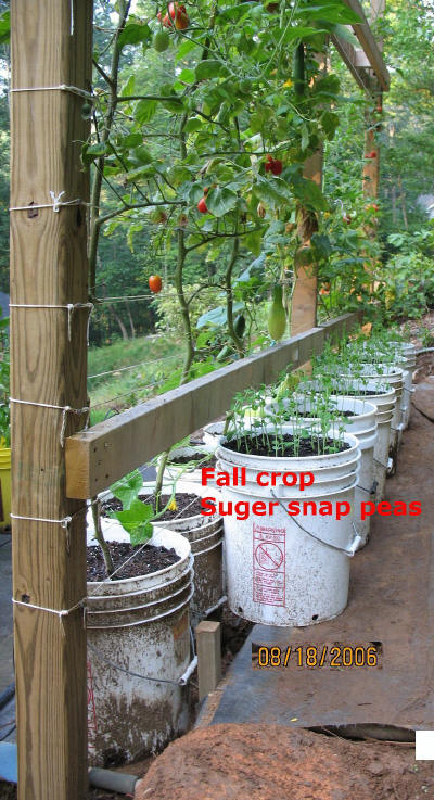 garden image