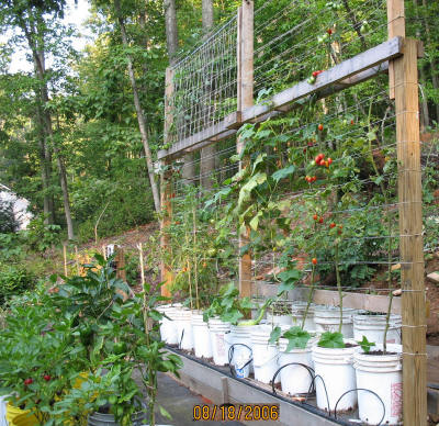 garden image
