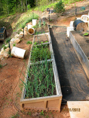 garden image