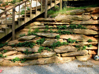 garden image